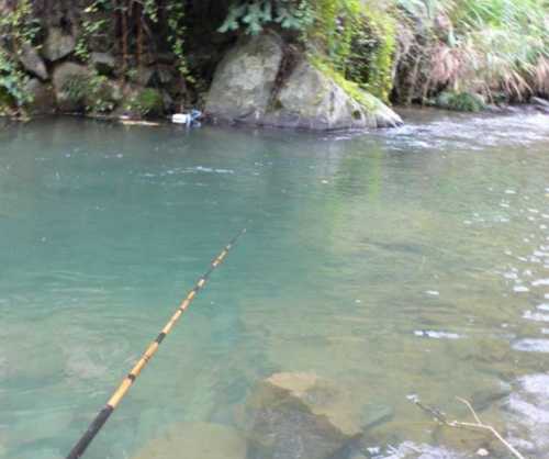 池塘溪流钓鱼怎么样？溪流钓鱼的三种钓法？