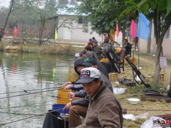 元旦左右钓鱼怎么样，元旦左右钓鱼怎么样啊