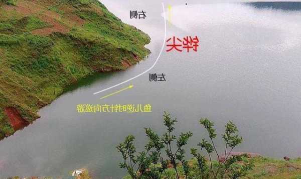 河流窄道钓鱼怎么样，河流窄道钓鱼怎么样钓！