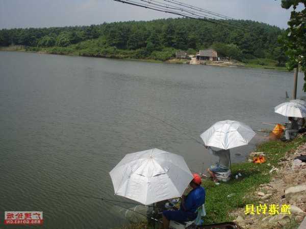 仙山湖钓鱼怎么样，仙山湖钓鱼怎么样好钓吗！