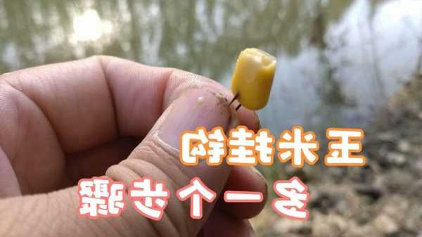 钓鱼玉米怎么样钓，玉米的钓鱼方法？