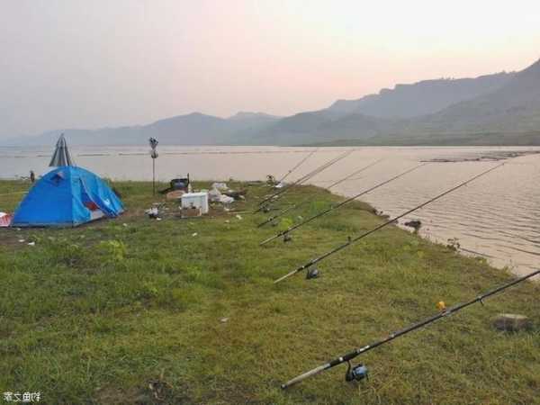 济源峡谷钓鱼怎么样，济源野钓鱼去哪里好？