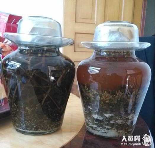 春天药酒钓鱼怎么样，药酒适合什么季节钓鱼！