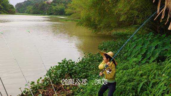 用柚子钓鱼怎么样，柚子钓鱼效果好吗？