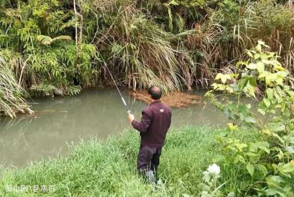 小河里钓鱼怎么样，小河里钓鱼怎么样钓