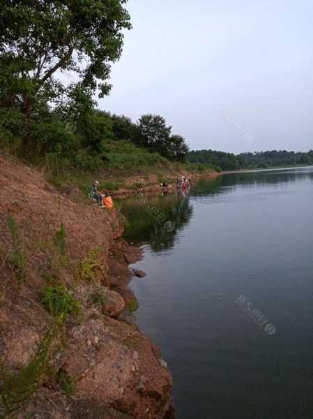 浮桥河钓鱼怎么样？浮桥河哪里可以钓鱼？