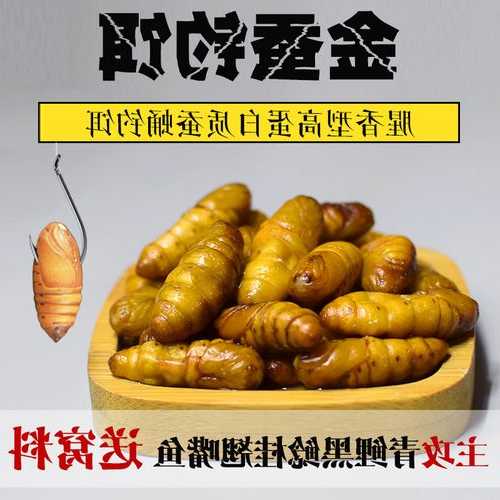 蚕蛹熟食钓鱼怎么样，蚕蛹钓鱼配制窝料！