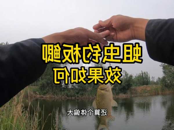 养蛆钓鱼怎么样，养蛆钓鱼怎么样钓？