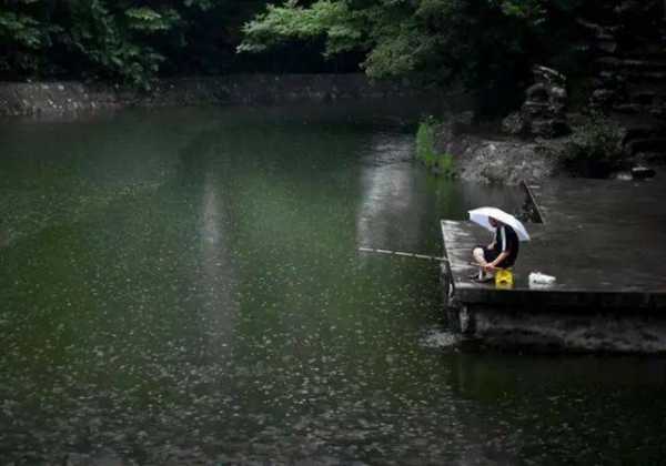 秋天雨天钓鱼怎么样，秋天雨天钓鱼钓深水还是浅水