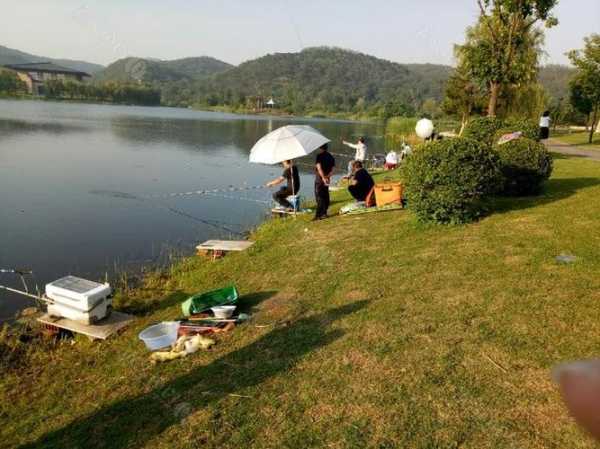 滨河绿地钓鱼怎么样，滨河绿地景观