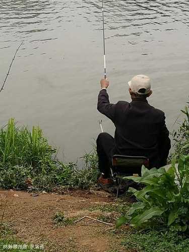 鼎湖桥上钓鱼怎么样，鼎湖附近哪里可以野钓？