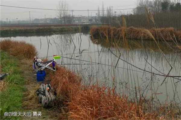 鼎湖桥上钓鱼怎么样，鼎湖附近哪里可以野钓？