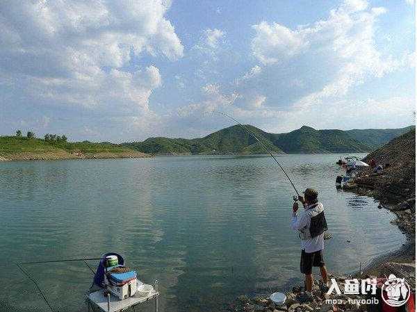 迎新水库钓鱼怎么样，重庆迎龙水库可以钓鱼吗？