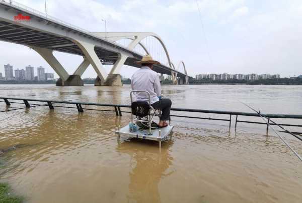 涨水江边钓鱼怎么样，涨水钓哪里？