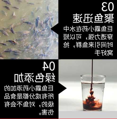 马克羽毛钓鱼怎么样，马克鱼药怎么用