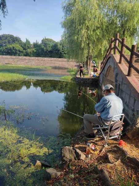 钓鱼环境怎么样啊？钓鱼环境怎么样啊视频？