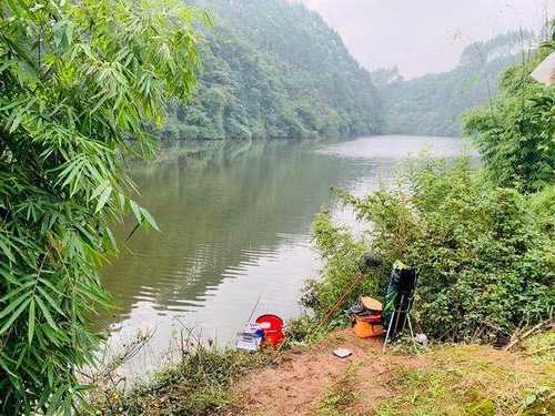 暮春傍晚钓鱼怎么样，暮春钓鱼最佳时机