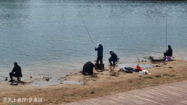 新兴河流钓鱼怎么样，新兴河流钓鱼怎么样啊？