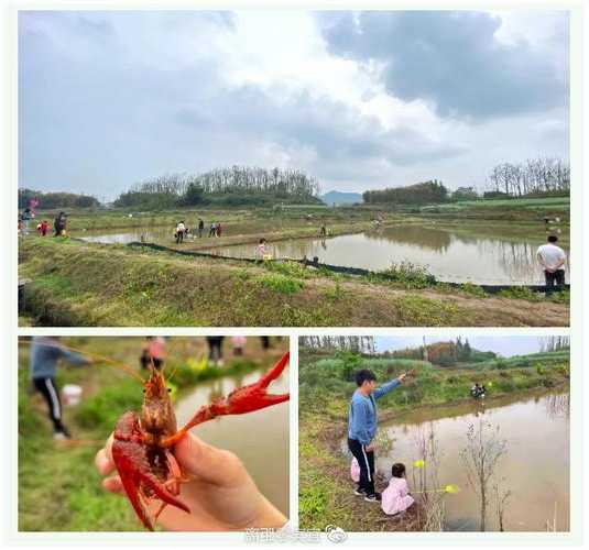 清风钓鱼场怎么样，清风龙虾垂钓基地电话！