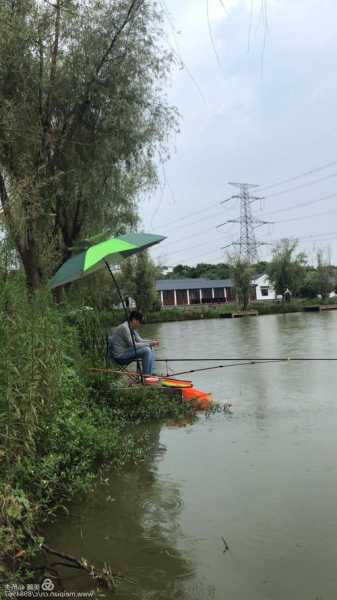 海沧钓鱼山庄怎么样？海沧野钓？