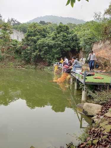 海沧钓鱼山庄怎么样？海沧野钓？