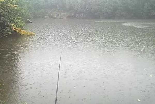 阴天小雨钓鱼怎么样，阴天小雨钓鱼技巧