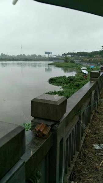 城厢河里钓鱼怎么样，城厢河里钓鱼怎么样啊