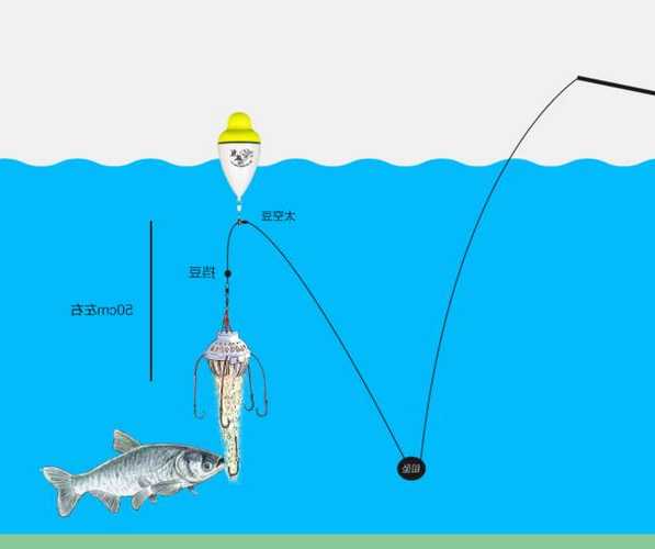 钓鱼怎么样看漂浮，钓鱼怎么样看鱼漂视频？