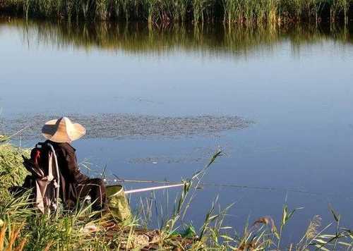 花钱池塘钓鱼怎么样，花钱钓鱼的地方叫什么！