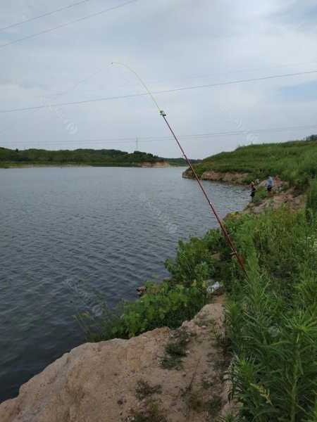 昭平潮水钓鱼怎么样，昭平潮水钓鱼怎么样好钓吗