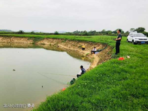 沙坑钓鱼烧烤怎么样，沙坑钓鱼选钓点