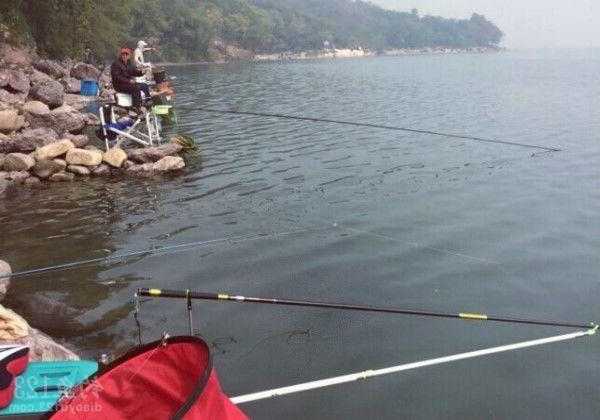 水库钓鱼战绩怎么样，水库钓鱼有什么技巧？