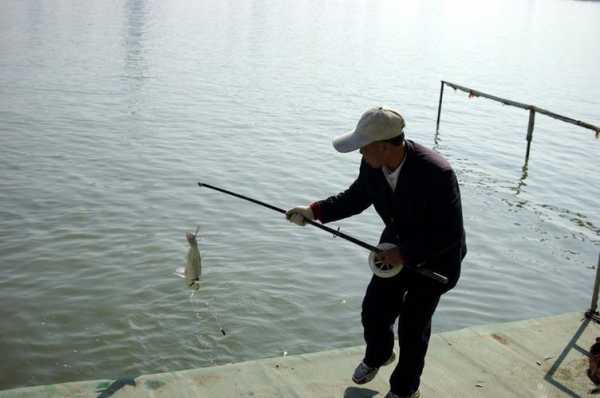 荷兰浅水钓鱼怎么样，荷兰浅水钓鱼怎么样好钓吗