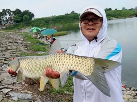 高桥钓鱼大师怎么样，高桥钓鱼大师怎么样啊？