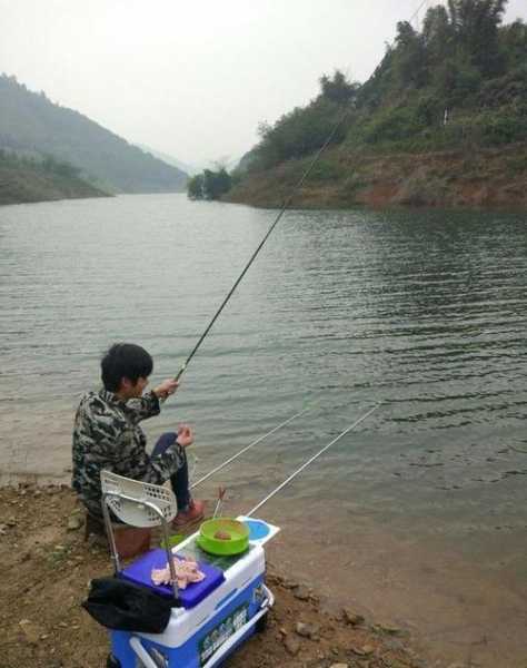 钓鱼人逐鹿怎么样，钓鱼人逐鹿怎么样才能钓鱼？