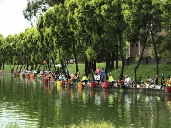 钓鱼训练师怎么样，钓鱼训练师怎么样赚钱！