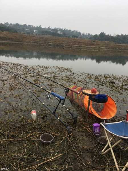 钓鱼勘测水质怎么样？钓鱼场水质差怎么改善？