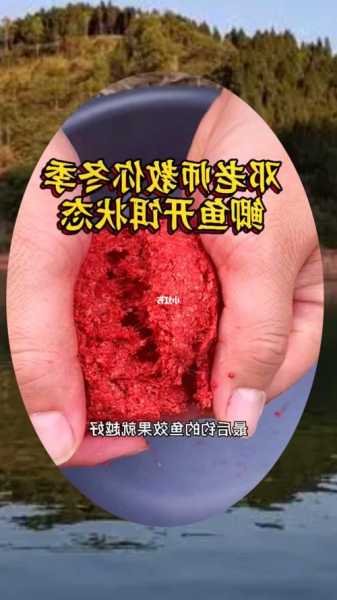 冬天早上钓鱼怎么样，冬天早上钓鱼用什么饵料？