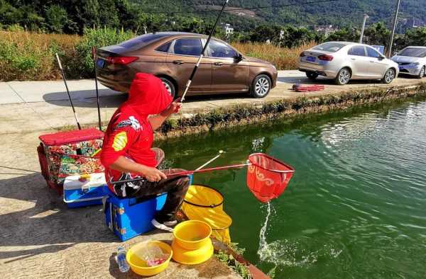 湖南钓鱼做菜怎么样，湖南钓鱼高手