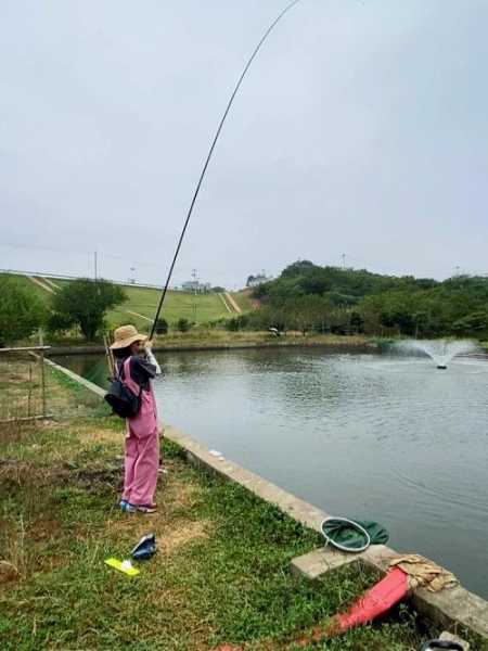 夏季室内钓鱼怎么样？夏天钓鱼野钓？