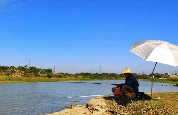 夏天早晨钓鱼怎么样，夏天早晨钓深还是钓浅