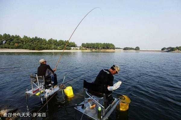 白露之前钓鱼怎么样，白露前后钓鲤鱼技巧！