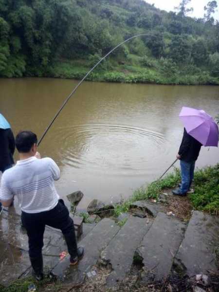 下雨阴天钓鱼怎么样，阴雨天钓鱼钓边还是钓哪？