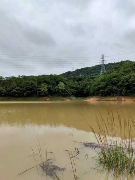 从化废船钓鱼怎么样，从化 钓鱼！