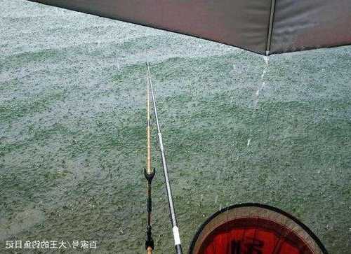 冒着雨钓鱼怎么样？冒雨是啥意思？