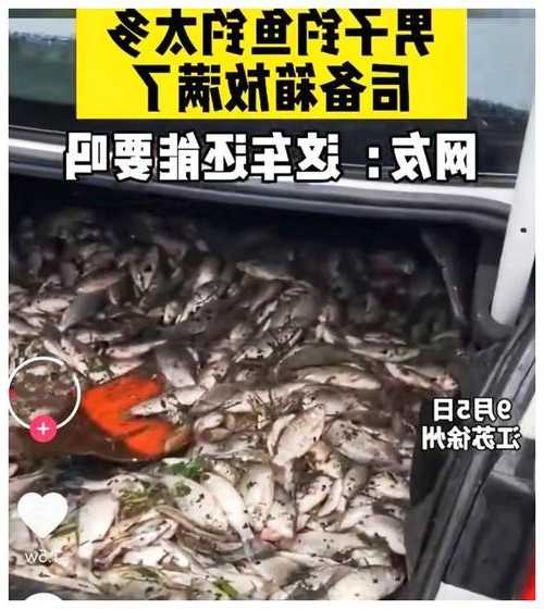 宁波龙湖钓鱼怎么样，龙湖钓鱼吧 百度贴吧？