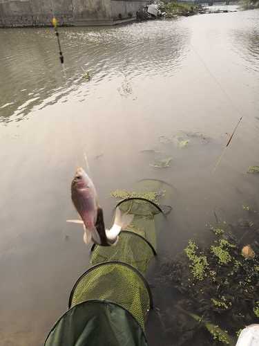 湿度对钓鱼怎么样，湿度多少鱼好钓啊?？