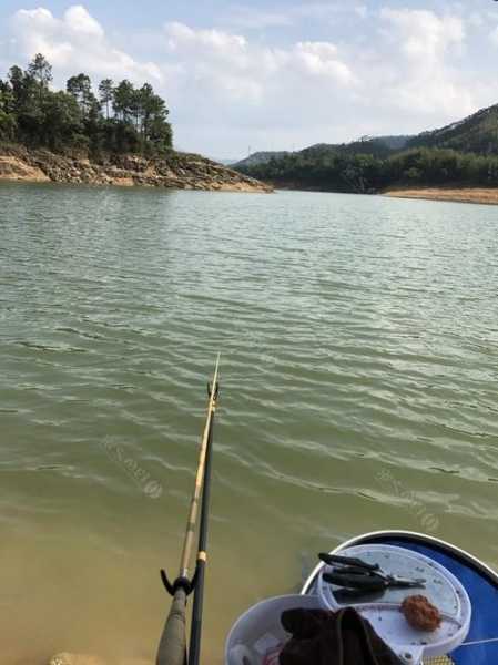 外地水库钓鱼怎么样，到水库钓鱼到哪个地方调好一些