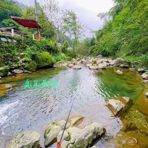 永嘉溪水钓鱼怎么样，永嘉水库！