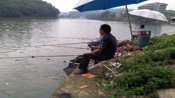 春季雨后钓鱼怎么样，春季雨后钓鱼钓深水还是浅水！